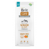 RIT BRIT Care Senior&Light Salmon - suché krmivo pre psov - 12 kg