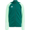 Sweatshirt adidas Tiro 23 Competition Training Jr HU1314 (129303) Black/Green 128cm