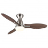 GLOBO GALE 03671N
