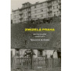Zmizelá Praha-Nouzové kolonie - Martin Dolejský, David Platil