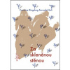 Za skleněnou stěnou - Ferrada-Noli Caroline Ringskog