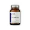 Pharma citicolín 60 kapsúl