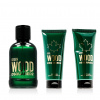 Dsquared2 Green Wood EDT 100 ml + ASB 100 ml + SG 100 ml (man) možnosť Starý obal