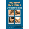 Pôsobivá myšlienka - Alan Sroufe