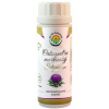 Salvia Paradise Ostropestrec mariánsky štandardizovaný extrakt 100 kapsúl