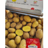 Sadbové zemiaky ´Camelia´ vanička 1kg