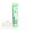 Mercurius Dulcis gra.1 x 4 g 5CH