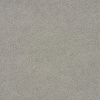 PVC podlaha RANGER 542-01