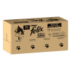 Jumbobalenie: Felix Fantastic kapsičky 120 x 85 g - senior (85 g)