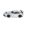 Siku Blister Mercedes AMG GT4