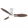 GLOBO GALE 03671W