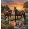 Norimpex Diamantové maľovanie Kone v rieke 30 x 40 cm