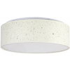 Rabalux Otilia stropné svietidlo 1x22 W biela 3308
