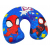 Spiderman Reis kussen