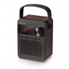 CARNEO F90 FM rádio, bluetooth reproduktor, black/wood
