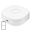 Inteligentná domácnosť WS2GW-R WiFi