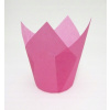 Papilotky tulipány FUCHSIA 200 ks