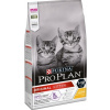 Purina PRO PLAN Cat Kitten Chicken 3kg