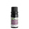 Nobilis Tilia éterický olej Zimný večer 10 ml