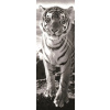 Dino Tiger black and white 1000 dielov
