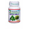 Planet Ayurveda GOTU KOLA 60 kapsúl