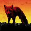 Prodigy - Day Is My Enemy [CD]
