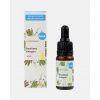 Kvitok Pleťové sérum Kolagén 10 ml