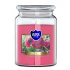 Aura /Bispol/ Aura Bispol Peony vonná sviečka 500g
