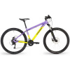 STEVENS Team RC 24 Lemon Lavender