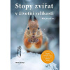 Stopy zvířat v životní velikosti Stopy