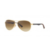 Ray-Ban RB8313 CARBON FIBRE 001/51