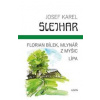 Florian Bílek, mlynář z Myšic Lípa - Josef Karel Šlejhar