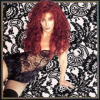 Cher - Greatest Hits:1965-1992 [CD]