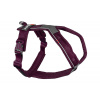 Nonstop dogwear Postroj Line 5.0 Farba: Fialová, Veľkosť: 6