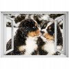 Self -adhézne 3D okno Bernese Picket Dog 90x60 (Self -adhézne 3D okno Bernese Picket Dog 90x60)