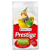 Versele-Laga Shell Sand Kristal 25 kg