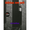 Delirious New York