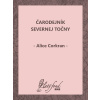 E-kniha: Čarodejník Severnej točny