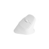 Bezdrátová myš Natec CRAKE 2/Kancelářská/Optická/2 400 DPI/USB+BT/Bílá/Vertikální/Optická/Pro pravák NMY-2257