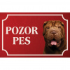 Šarpej - Kovová tabuľka POZOR PES