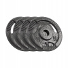 Liatinové závažie sada 4x2.5 kg 10 kg otvor 31 mm tanier s držadlami REBEL