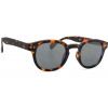 Izipizi Sun #C Tortoise