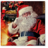TL828000 SERVÍTKY SANTA AT HOME 33x33 3VRT NAPKINS 1bal