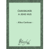 E-kniha: Čarodejník a jeho hus