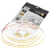 Vonkajší LED pás 5W 475lm 4000K neutrálna biela 1600LED 12V 5m IP65 CRI90 Tramo Premium Kobi