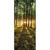 Dverová fototapeta - DV0600 - Les a jeleň 91cm x 211cm - Samolepiaca fólia