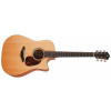 Furch Blue Dc-CM CNR Active