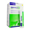 Energan Ketose 12x300g