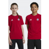 Detské bavlnené tričko adidas Performance FCK červená farba, s nášivkou, IT4138 164