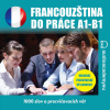 Francouzština do práce A1-B1 - Tomáš Dvořáček (mp3 audiokniha)